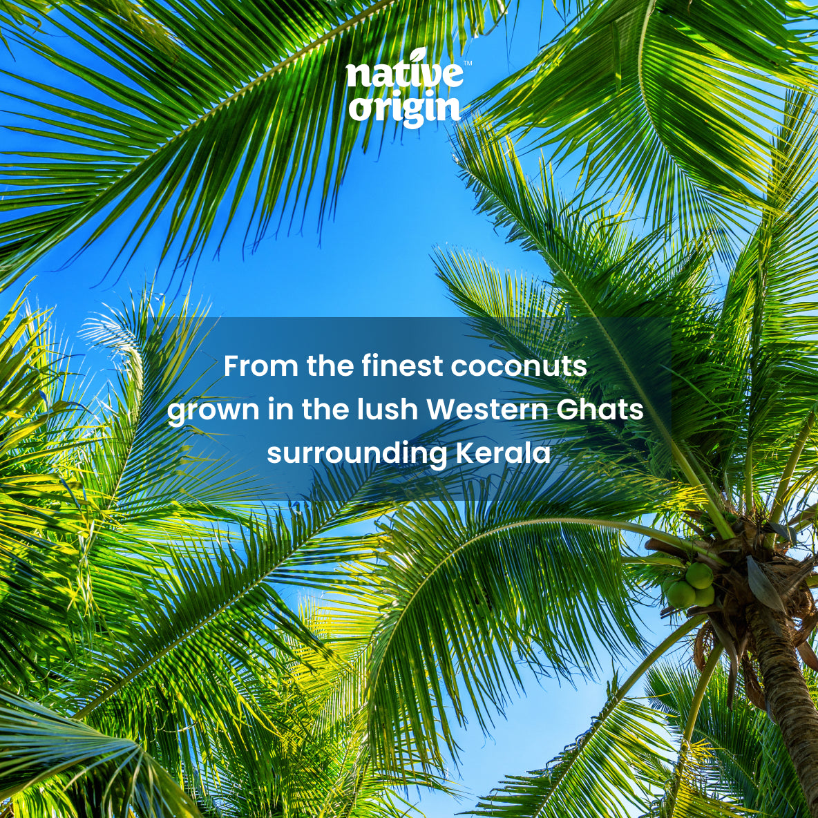 Native Origin Cold Pressed Virgin Coconut Oil